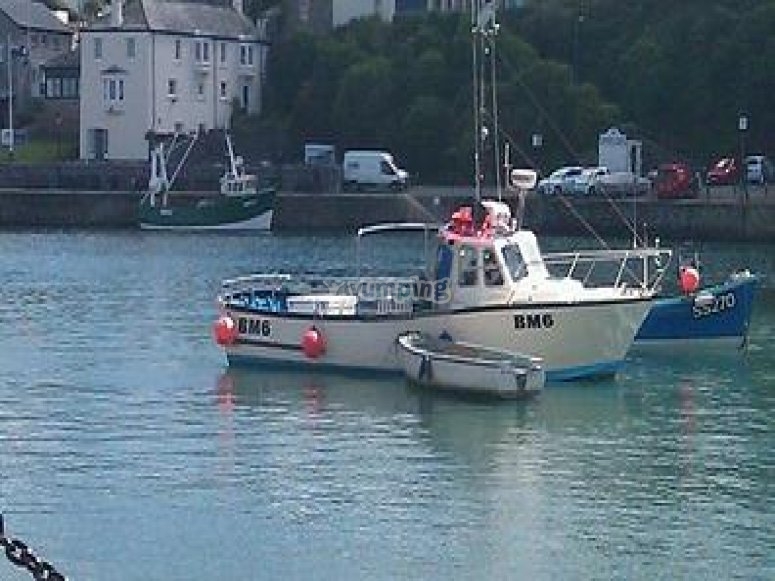 Kingfisher II Charters, prices and bookings 2024